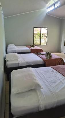 Los Planes Bed & Breakfast | Top-Rated Cabinas Corcovado Green Parrot with Ocean Views