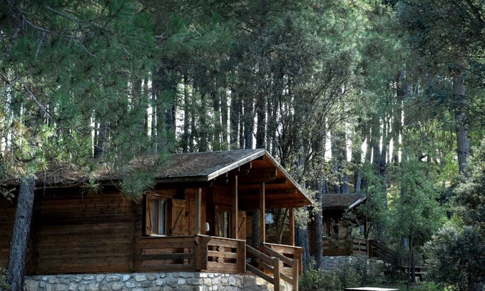 Canamares Cabin | Cozy Cabins at The Llano de los Conejos with Kitchen Access