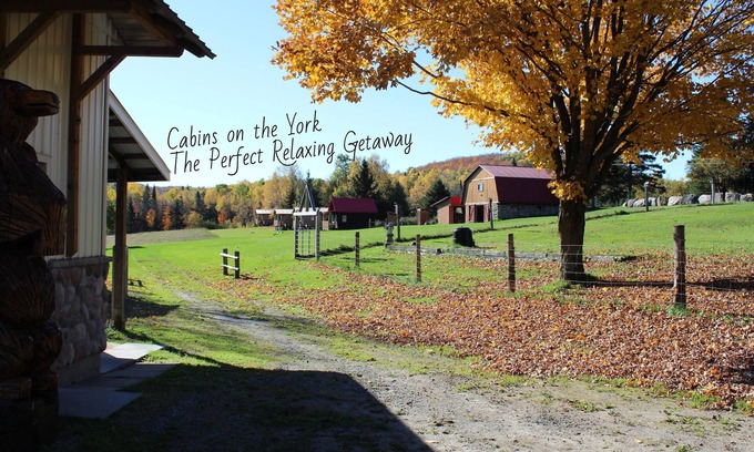 Hastings Highlands Cabin | Cozy Deer Cabin at Cabins on the York - Perfect Family Retreat