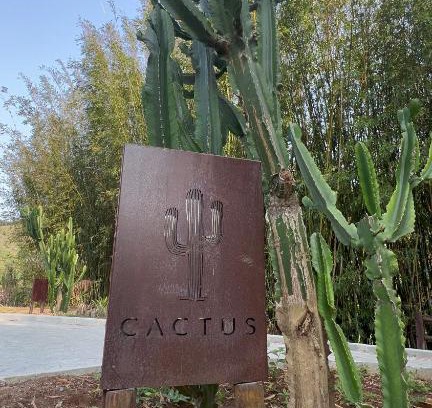 Lumiar Cabin | Cactus Cabana