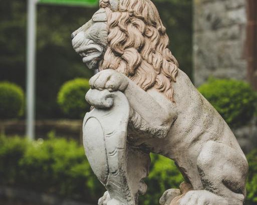 Conwy Hotel | Discover Caer Rhun Hall Hotel: Pet-Friendly Getaway