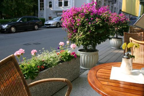 Bad Pyrmont House | Pet-Friendly Cafe Schneidewind: Breakfast & Dining Awaits