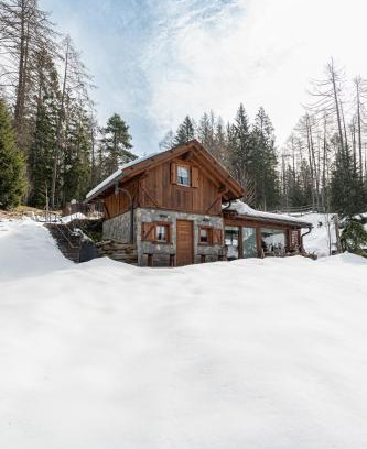 Fondo Cabin | Pet-Friendly Cain Comfort Chalet with Oceanfront Views