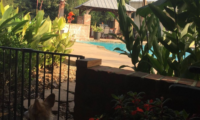 Milton House | Relaxing Cajun Getaway with Ocean View & Private Pool