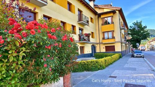 Sant Pau de Seguries Apartment | Discover Cal Harry: Family-Friendly Mountainview Retreat