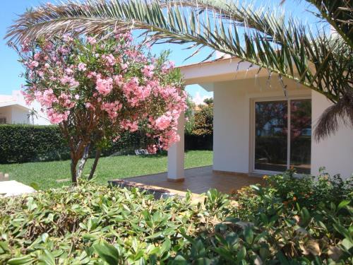 Punta Braccetto House | Cala Vigliena: Oceanfront Retreat with Pet-Friendly Perks