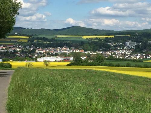 Bad Camberg House | Welcoming Camberger Ferienhäuschen: Pet & Child Friendly Stay