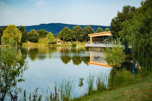 Ineu Hotel | Relax at Camelot Resort: Oceanfront Pool & Hot Tub Haven