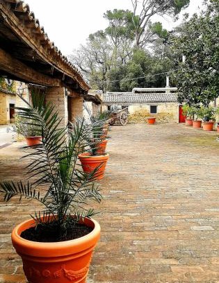 Treia House | Cozy Rooms at Agriturismo Villa Luzi with Ocean View