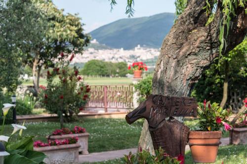 Santa Maria degli Angeli Bed & Breakfast | Experience Comfort at Camere Mariella - Pet Friendly & Breakfast