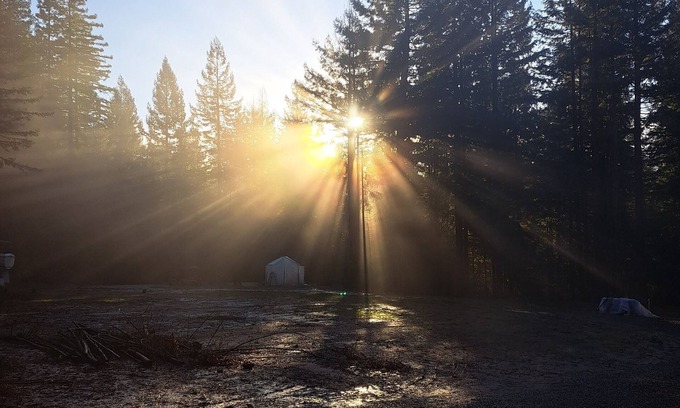 Fortuna RV Rental | Unforgettable Camp Among Private Redwoods - Pet Friendly