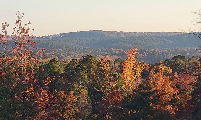 Kirby RV Rental | Pet-Friendly Retreat Near Kirby Landing with Mountain Views