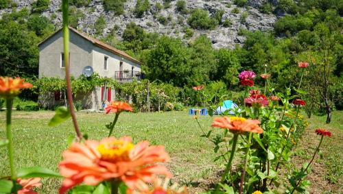 Virpazar Other | Pet-Friendly Retreat at Camp Podkraj with Ocean Views