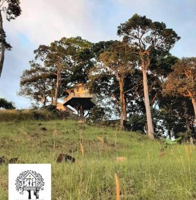 Antipolo House | Experience CAMP TREEHOUSE COTTAGE with Pool & Hot Tub