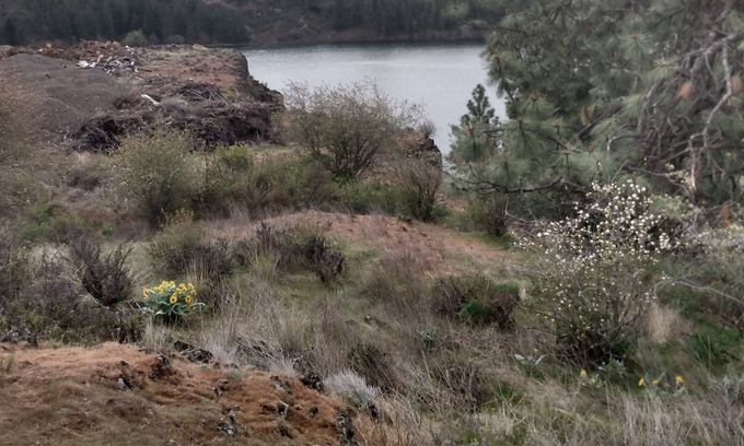 Cheney RV Rental | Family-Friendly Camping at Williams Lake - Pet Welcome!
