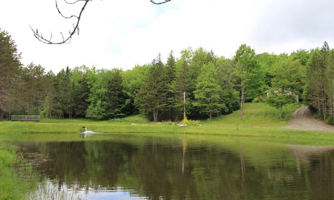 La Patrie Other | Explore Nature: Camping at Mont Mégantic with Ocean Views