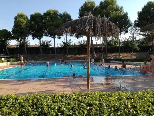 Faio Other | Pet-Friendly Camping Fayón Fishing with Pool & Restaurant
