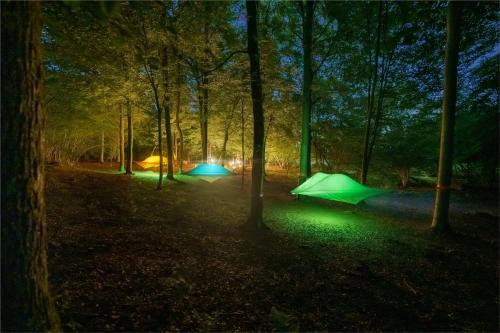Sala Biellese Other | Nature Playground Escape: Pet-Friendly & Family-Friendly Stay