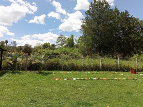 Pacho Other | Family-Friendly Camping at Hospedaje Rural La Fortaleza
