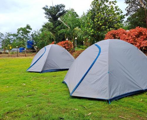 Thakursai Other | Discover Pawna Lake Camping: Pet-Friendly Getaway Awaits
