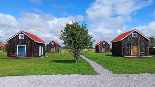 Karkle Other | Pet-Friendly Camping Klevas - Rated 9.2/10 by Guests