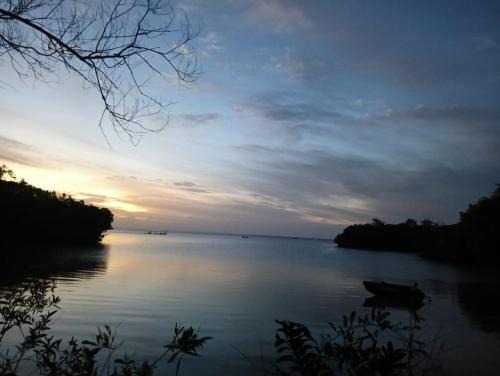 Likupang Other | Explore Camping Rein Apwisindo: Pet-Friendly Beach Retreat
