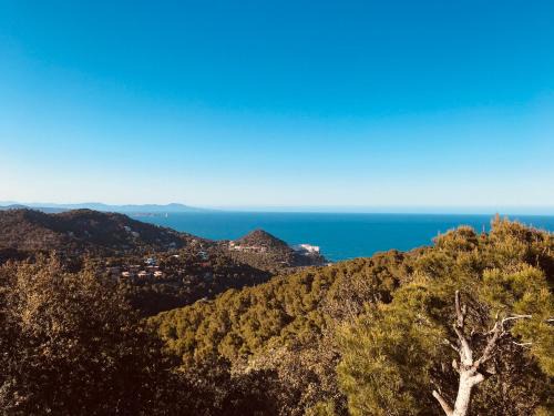 Aiguablava Apartment | Stunning Can Estrellas Oceanfront Apartment with Pool