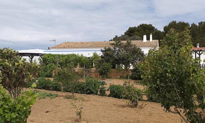 Pilar de la Mola House | Oceanfront Escape at Can Joan Barber - Rated 9.1/10