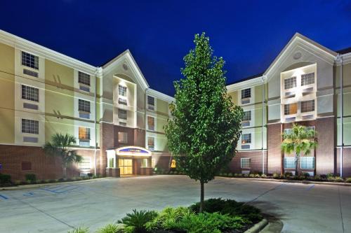 Hattiesburg Hotel | Discover Candlewood Suites Hattiesburg: Pet-Friendly Comfort