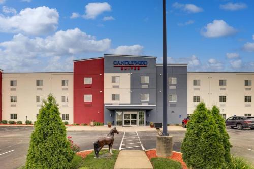 Georgetown Hotel | Pet-Friendly Candlewood Suites Lexington with Excellent Amenities