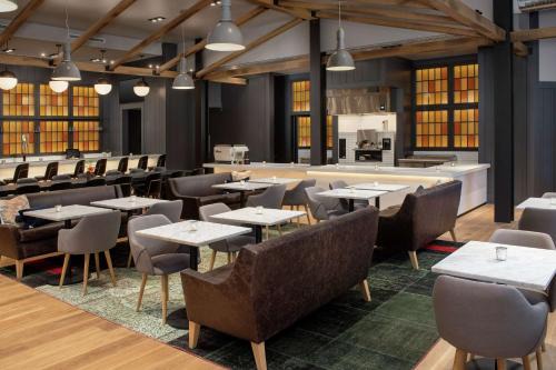 Ithaca Hotel | Pet-Friendly Retreat at Canopy By Hilton Ithaca Downtown