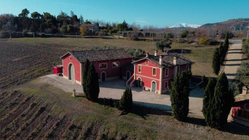 Offida House | Cantina D'Erasmo - Camere e Degustazioni