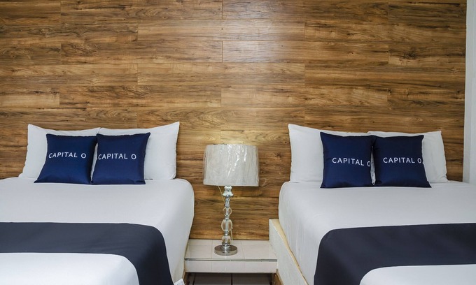 Centro Hotel | Discover Capital O Hotel Dos Mares in Cabo San Lucas