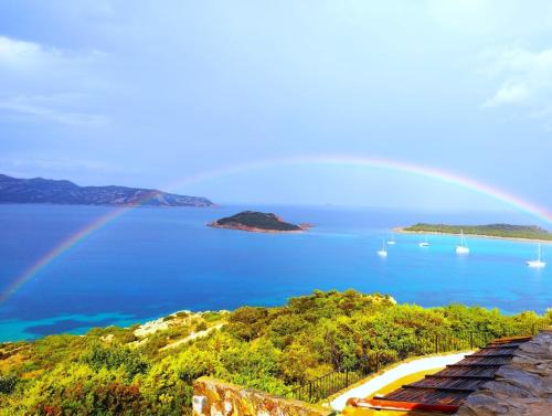 Capo Coda Cavallo Apartment | Capo Coda Cavallo, vacanze nella casa Il Maestrale