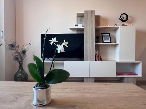 Ovcha Kupel Apartment | Budget-Friendly Cappuccino Apartment - Rated 9.5 by Guests