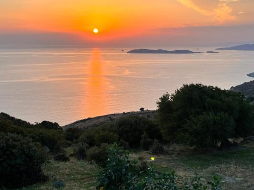 Kato Aprovatou House | Discover the Captain's Koutsi Suite - 4 Star, Guest Rated 10/10