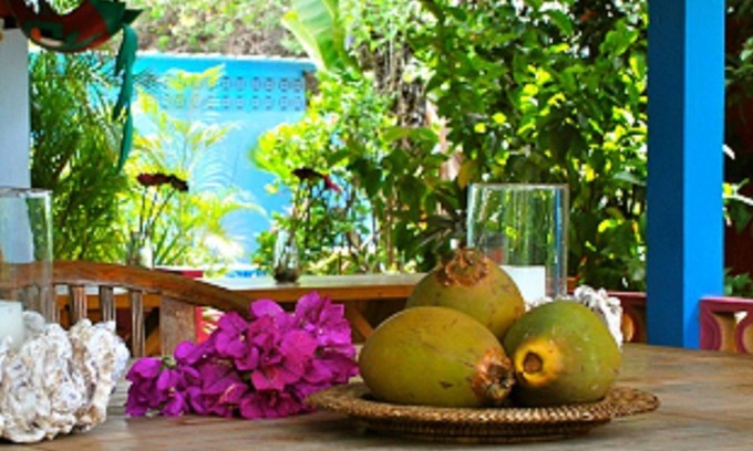 Piscadera Apartment | Beachfront Caribbean Flower Apartments with Pool & Breakfast