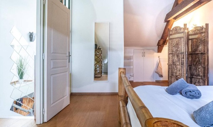 Annecy Old Town Apartment | Experience Carnot Duplex in Annecy's Vibrant City Center