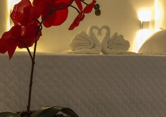 Piranhas House | Pet-Friendly Caroá Piranhas Suítes with Stellar 10/10 Rating
