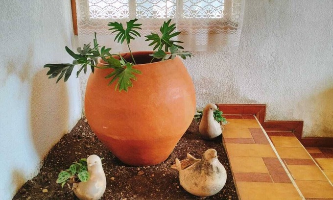 San Cristobal de las Casas House | Casa Olvera 3 km from downtown San Cristobal! Ideal for families