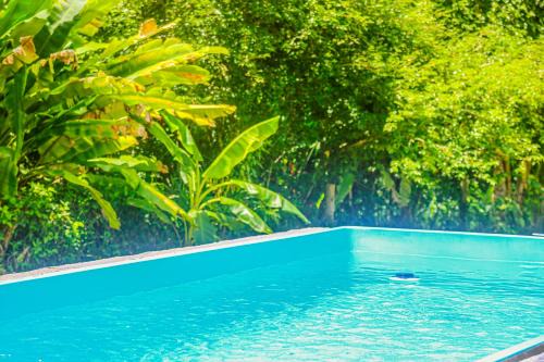 Ressaca House | Casa Bhava: Nature Views from Our 4-Star Suites