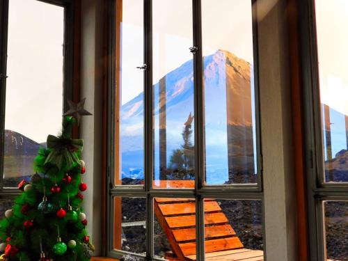 Fogo Bed & Breakfast | Cozy Casa Adriano: Pet Friendly with Breakfast Included