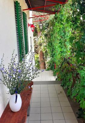 Orvieto House | Guest-Rated Casa al Vantaggio: Family & Pet Friendly Stay