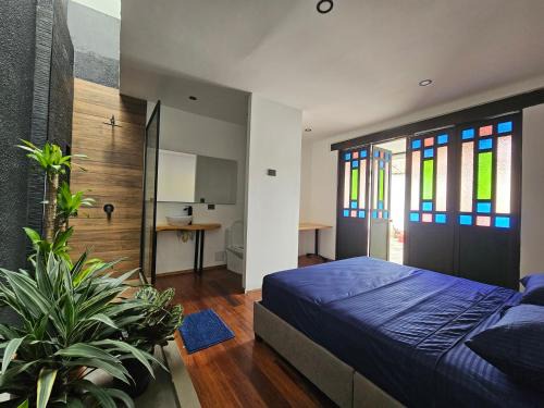 San Antonio House | Cozy Casa Alba: Guest Rated 9.4 & Pet Friendly Retreat