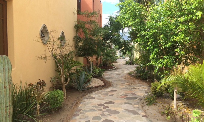 Nopolo House | Discover Casa Amarillo: Oceanfront Bliss with Spa & Pool