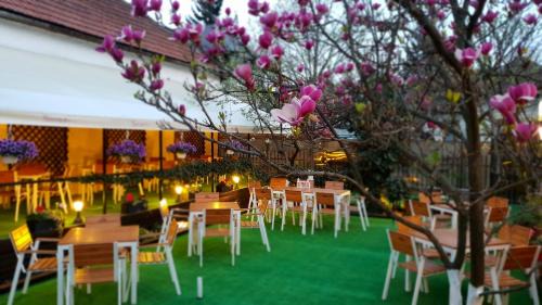 Centrul Nou Hotel | Top-Rated Casa Andreea: Family-Friendly with Breakfast