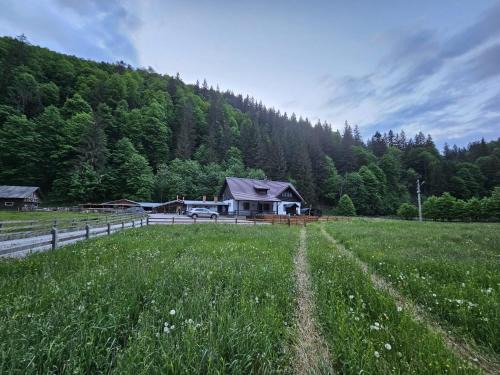 Brosteni Villa | Casa Andreea: Family-Friendly Retreat with Hot Tub & Kitchen