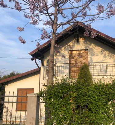 2 Mai Villa | Casa Andrei: Oceanfront Retreat with 10/10 Guest Rating