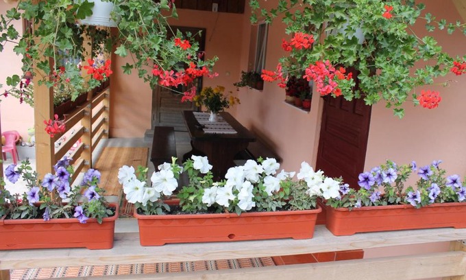 Gura Humorului House | Casa Andreia: Highly Rated Stay with Breakfast & Family Fun