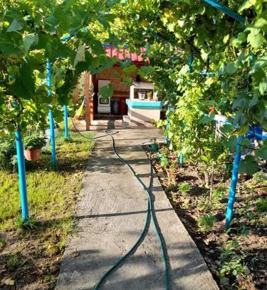 Corbu House | Discover Casa Anhela: Pet and Child Friendly Retreat